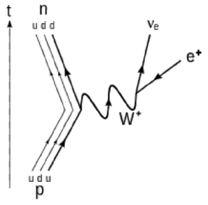Proton Decay